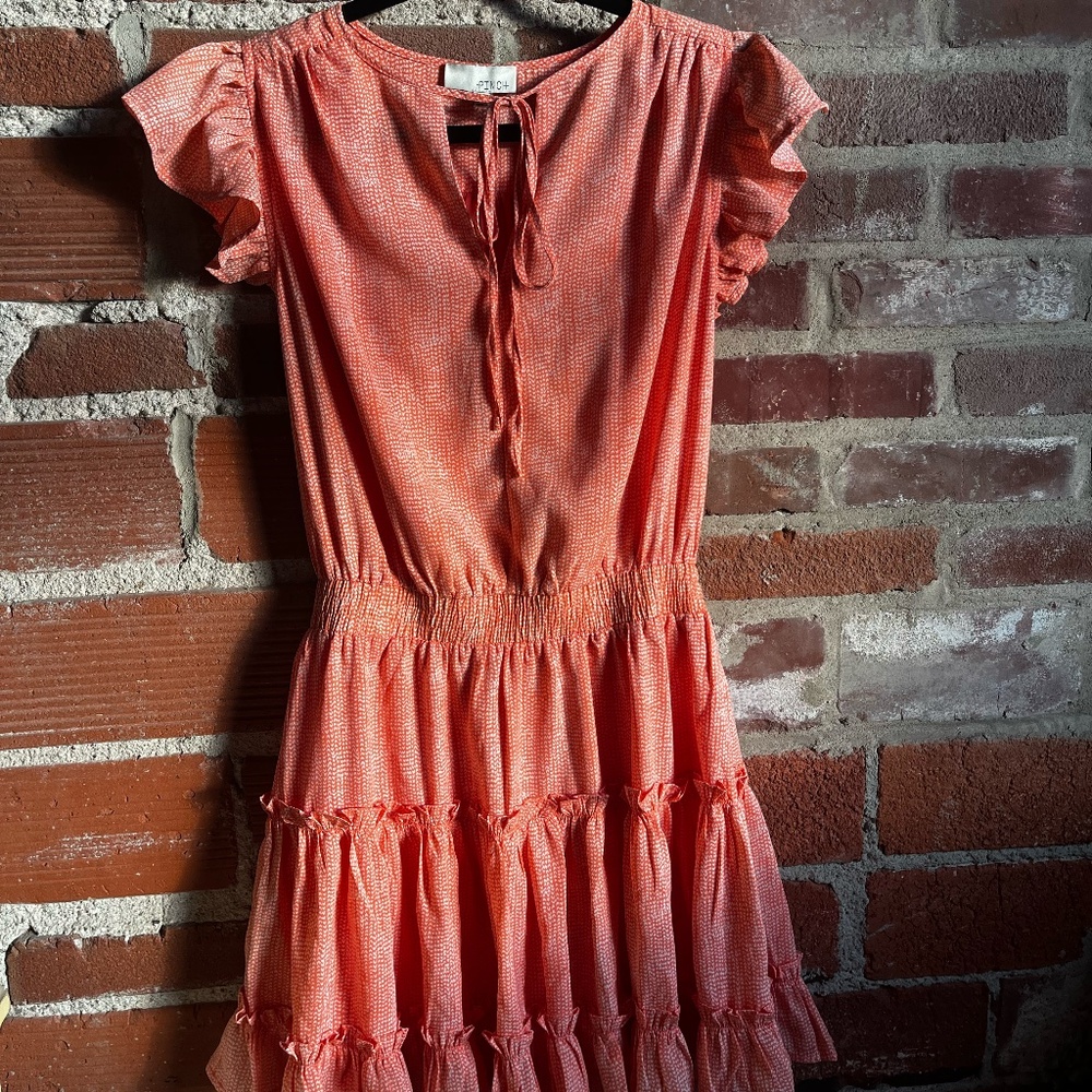 Pinch Dress